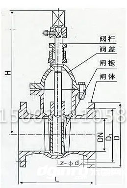 傳動(dòng)帽彈性座封閘閥結(jié)構(gòu)圖 傳動(dòng)帽彈性座封閘閥結(jié)構(gòu)圖